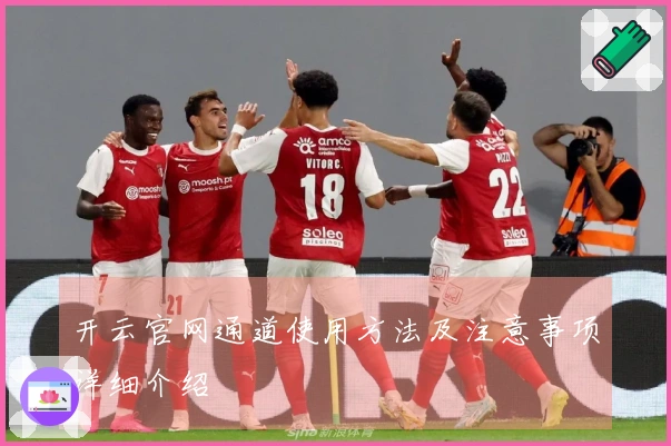 开云官网通道使用方法及注意事项详细介绍