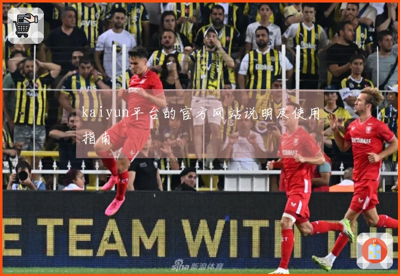 kaiyun平台的官方网站说明及使用指南