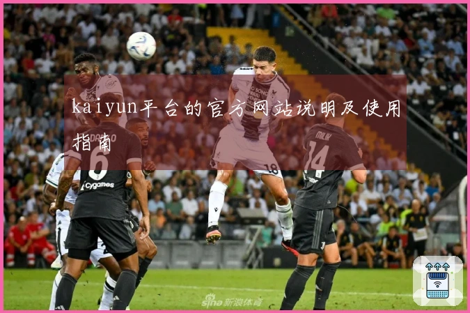 kaiyun平台的官方网站说明及使用指南