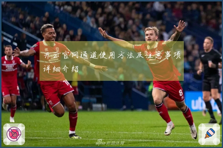 开云官网通道使用方法及注意事项详细介绍