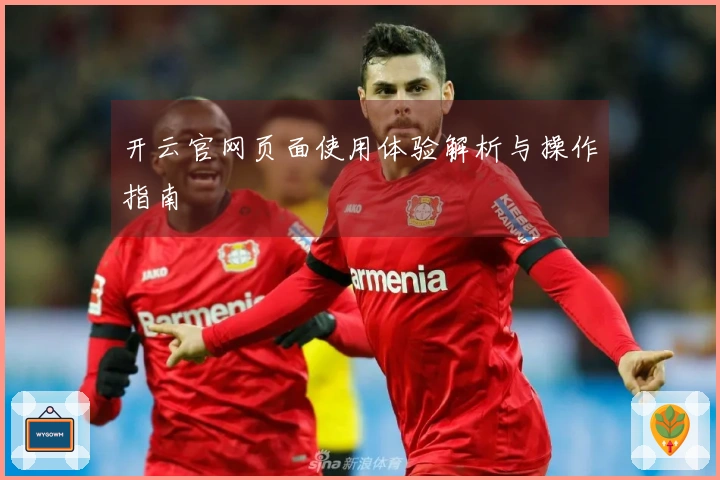 开云官网页面使用体验解析与操作指南